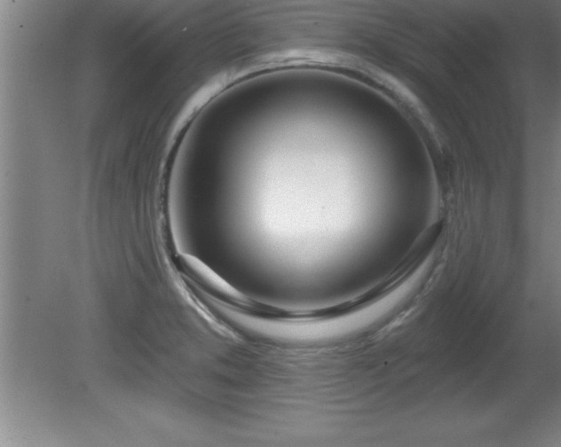 X0000081561373200701221016