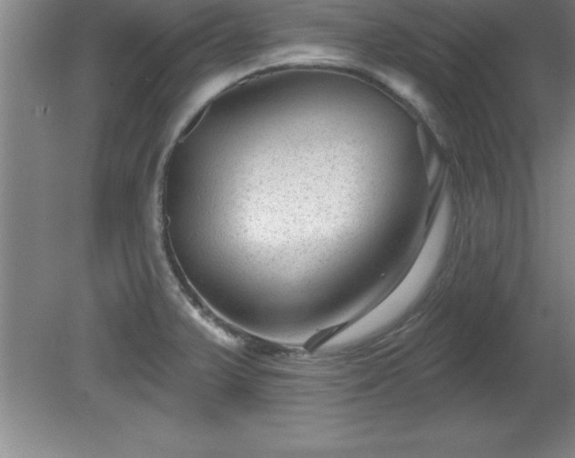 X0000081561375200701221016