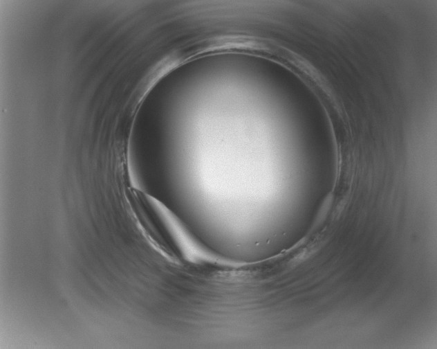 X0000081561377200701221016