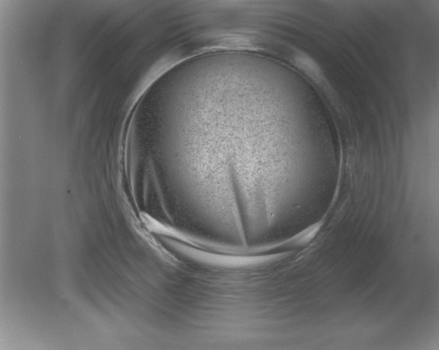 X0000081561378200701221016
