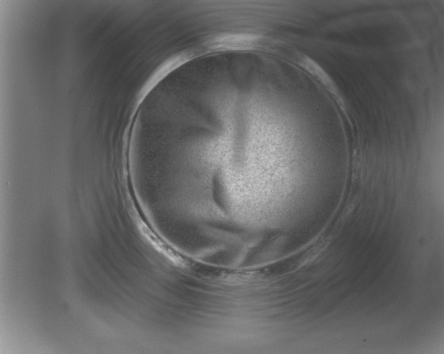 X0000081561386200701221015