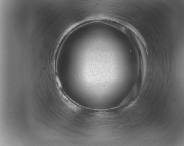 X0000081561388200701221015
