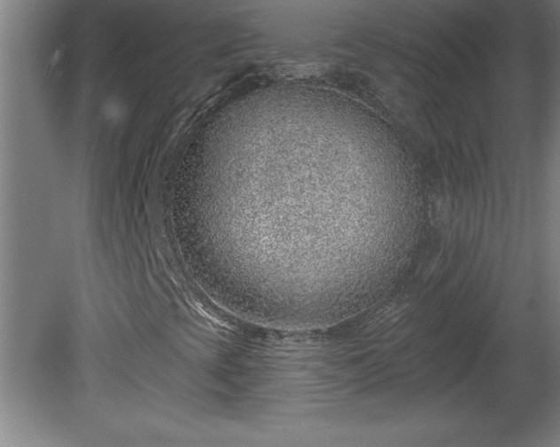 X0000081561393200701221015