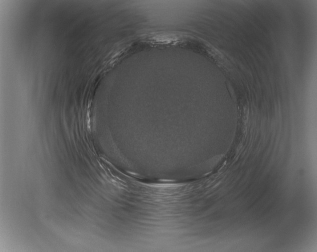 X0000081561394200701221015