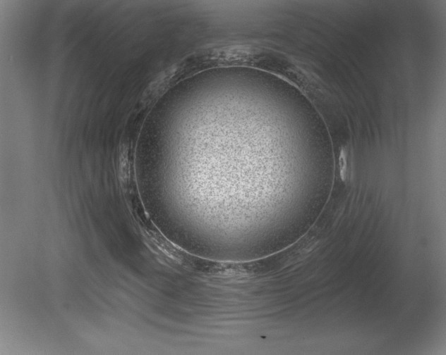 X0000081561395200701221015