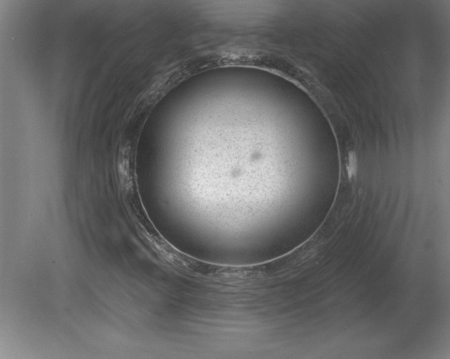 X0000081561396200701221015