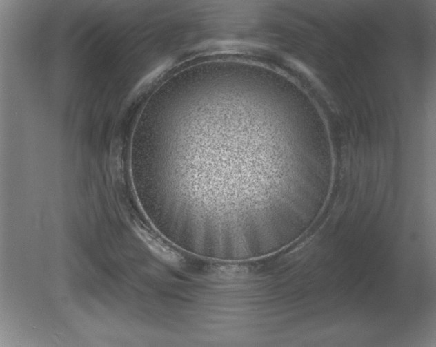 X0000081561403200701221015