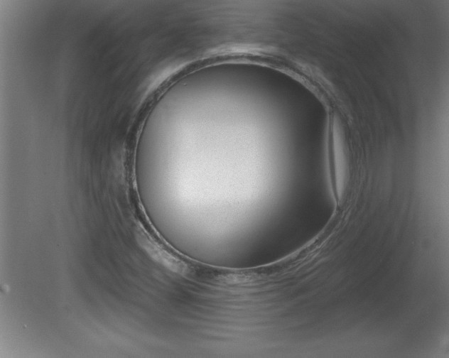 X0000081561404200701221015