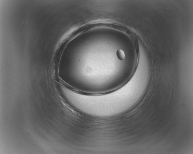 X0000081561406200701221015