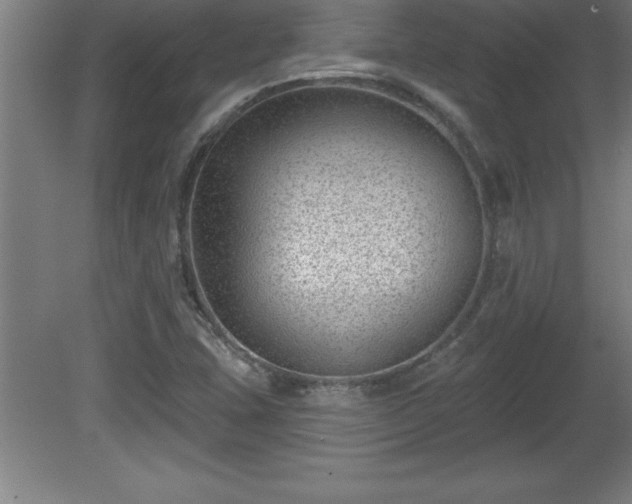 X0000081561407200701221015