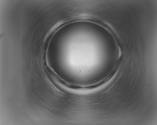 X0000081561410200701221015