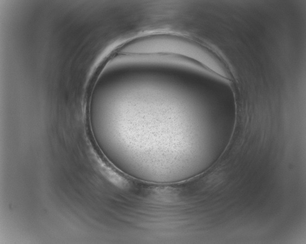 X0000081561416200701221015