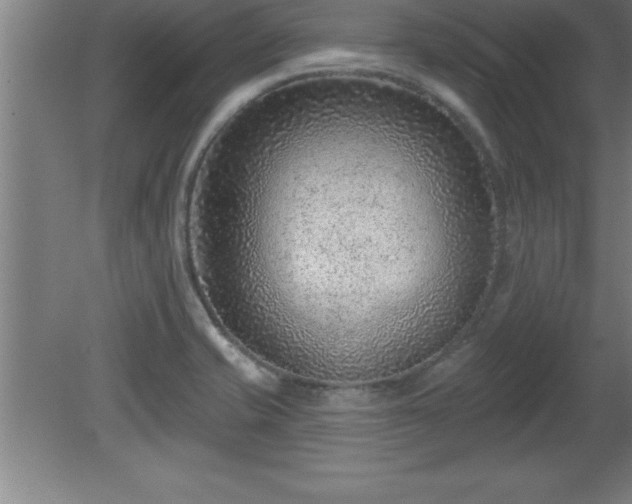 X0000081561421200701221015
