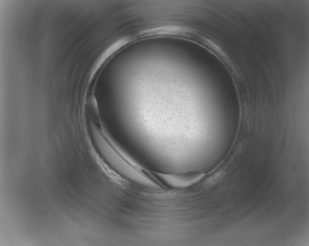 X0000081561426200701221015