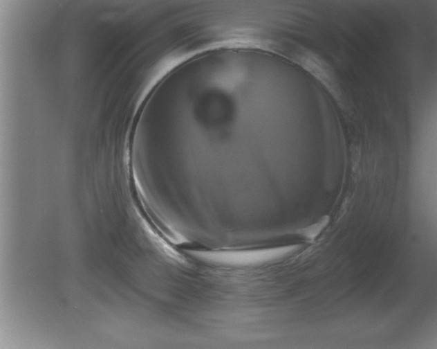 X0000081561428200701221015