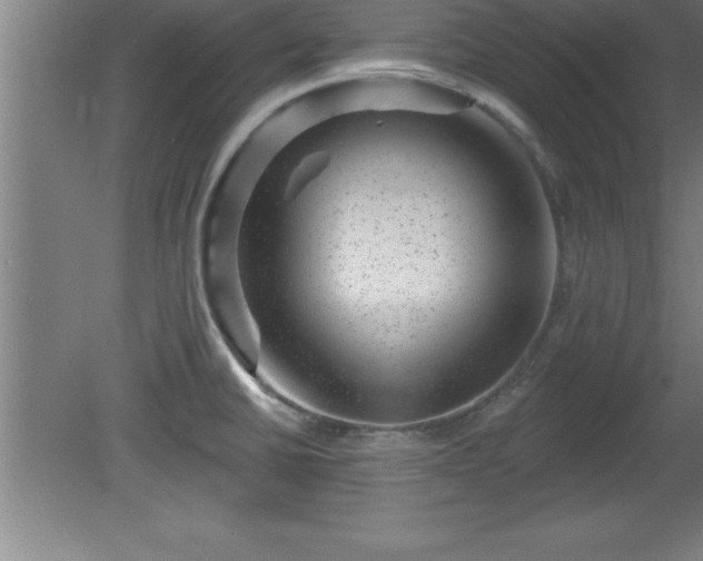 X0000081561430200701221015