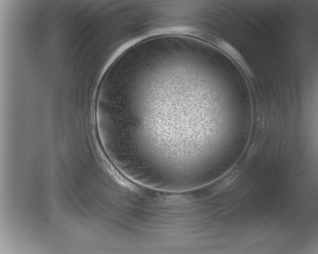X0000081561436200701221015