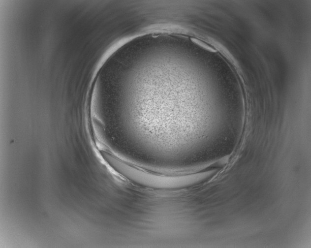 X0000081561440200701221015
