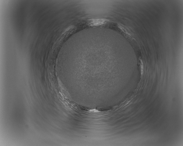 X0000081561441200701221015