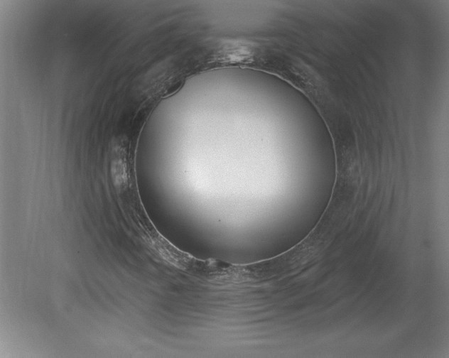 X0000081561442200701221015