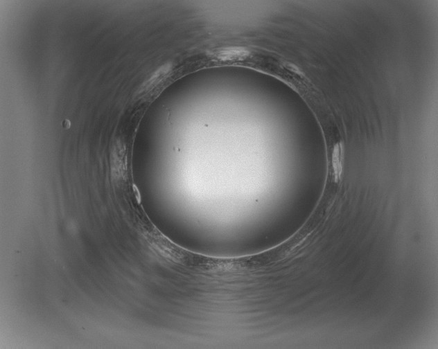 X0000081561443200701221015
