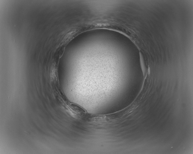 X0000081561444200701221015