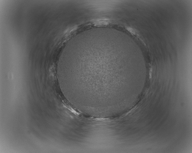 X0000081561445200701221014