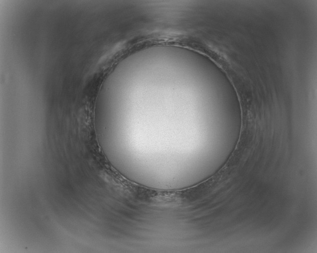 X0000081561447200701221014