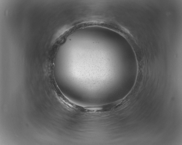 X0000081561448200701221014