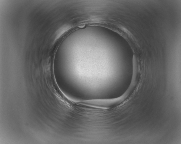 X0000081561450200701221014