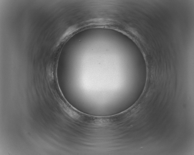 X0000081561451200701221014