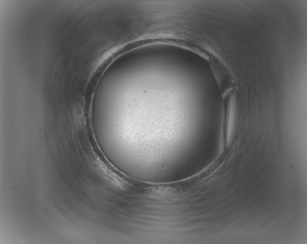 X0000081561452200701221014