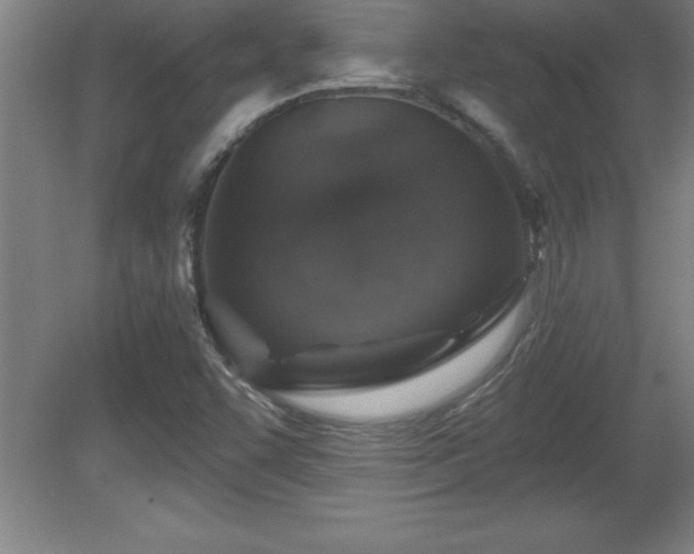 X0000081561455200701221014