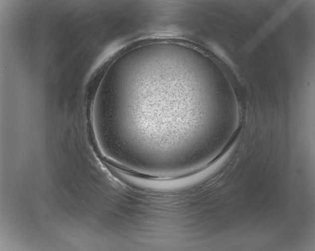 X0000081561456200701221014