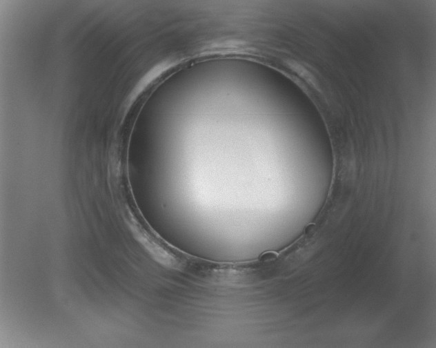X0000081561458200701221014