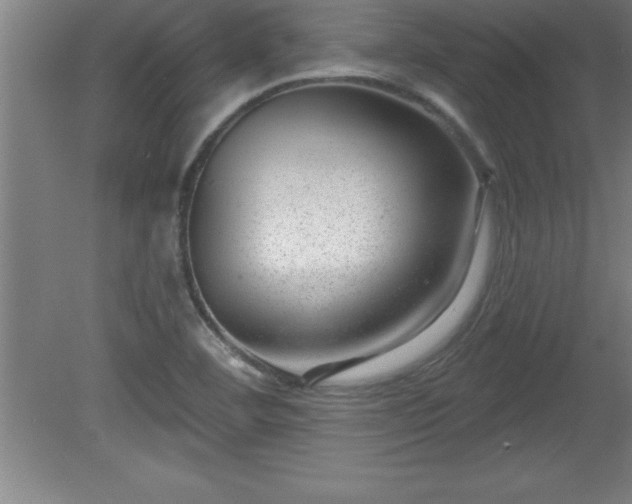 X0000081561460200701221014