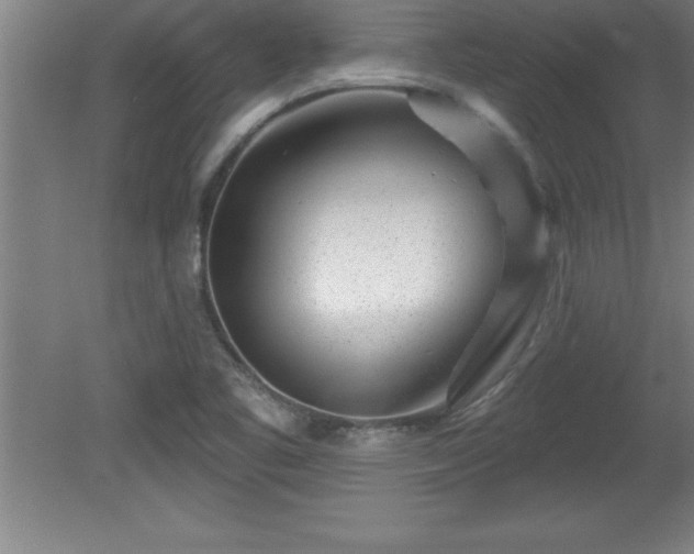 X0000081561461200701221014