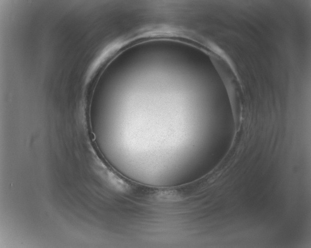 X0000081561464200701221014