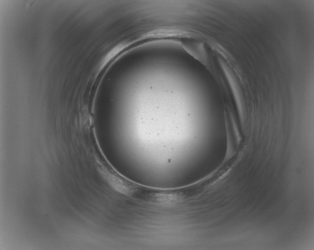 X0000081561465200701221014