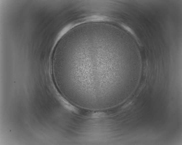 X0000081561467200701221014