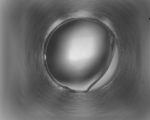X0000081561469200701221014