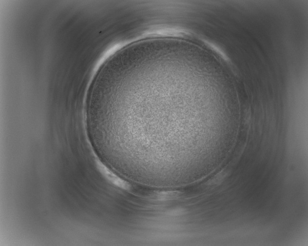 X0000081561471200701221014
