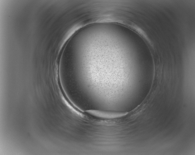 X0000081561476200701221014