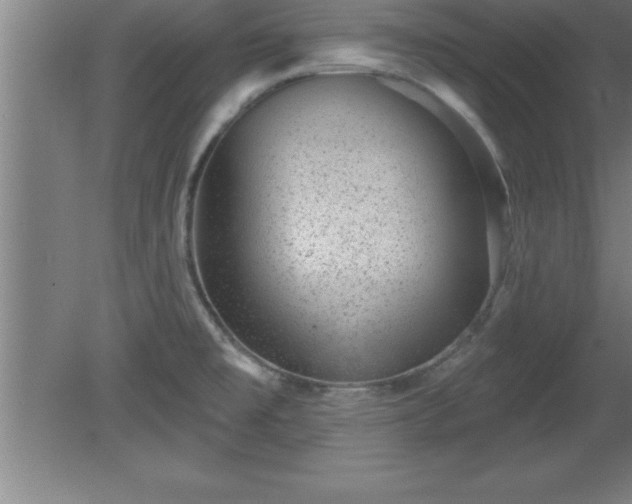 X0000081561477200701221014