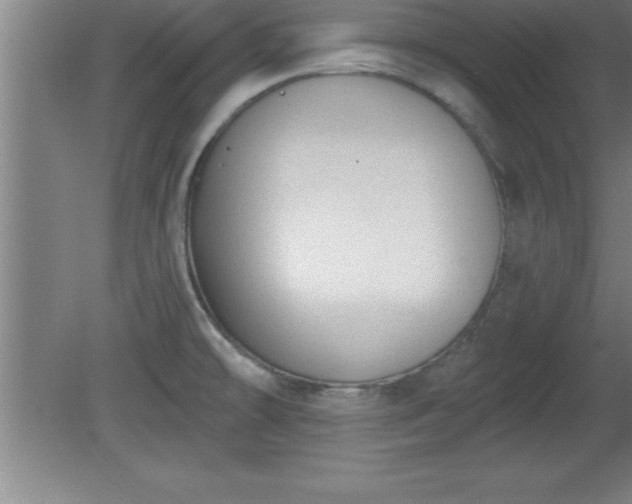 X0000081561478200701221014