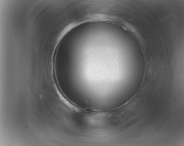 X0000081561479200701221014