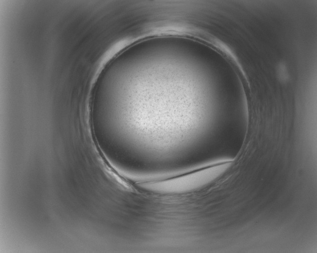 X0000081561480200701221014