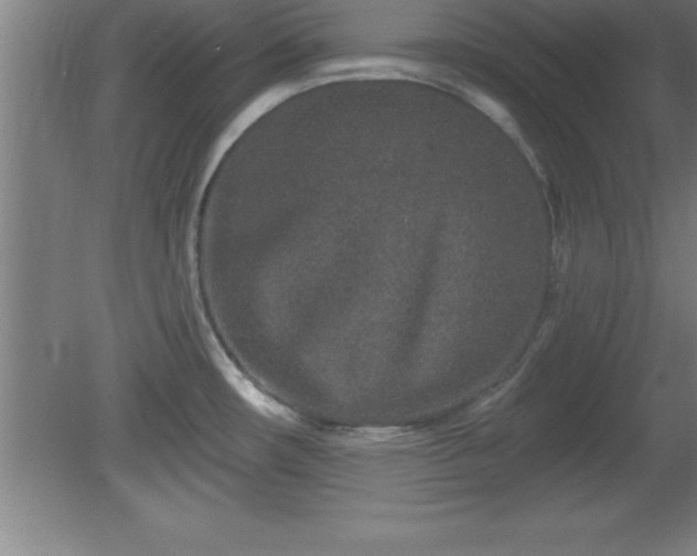 X0000081561482200701221014