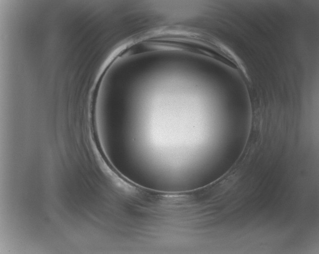 X0000081561483200701221014