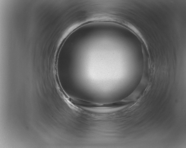 X0000081561485200701221014